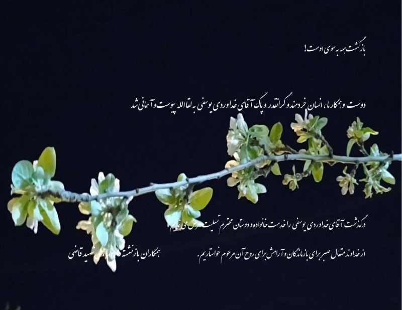 داروسازی شهید قاضی- خداوردی یوسفی